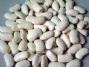 large white kidney beans hps quality from china
